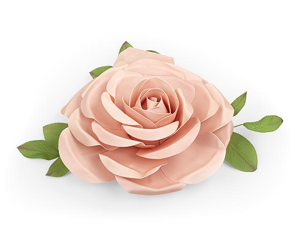 ROSA ROSA