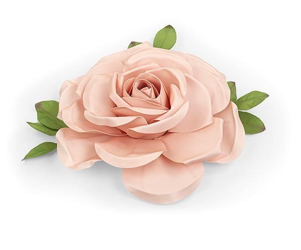 ROSA ROSA