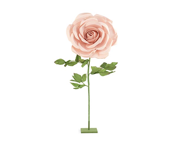 ROSA ROSA CON STELO