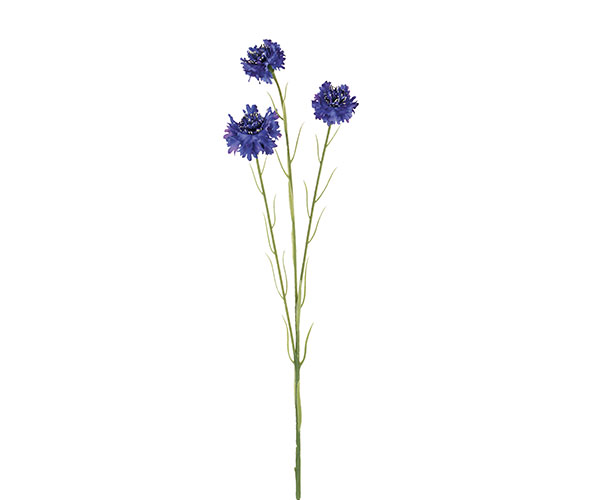 FIORDALISO BLU