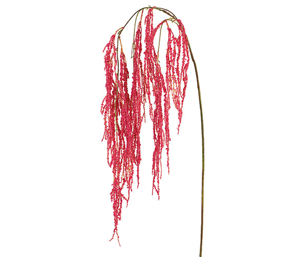 CASCATA AMARANTHUS FUXIA