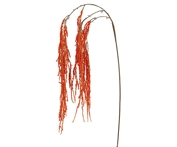 CASCATA AMARANTHUS ARANCIO