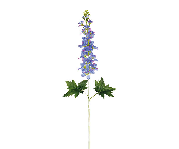 DELPHINIUM AZZURRO