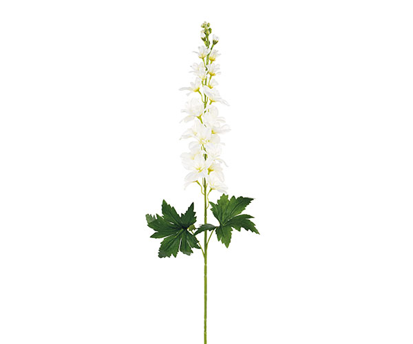 DELPHINIUM BIANCO