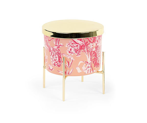 CAND.TOILE PESCA/FUXIA + SCATOLA 