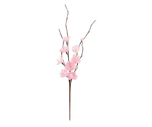 RAMO FIORI PESCO