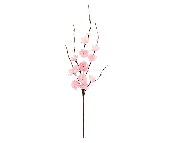 RAMO FIORI PESCO