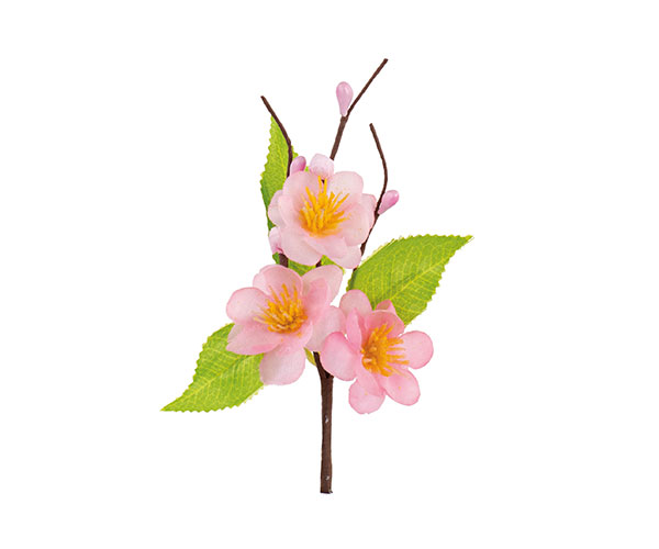PICK FIORI DI PESCO