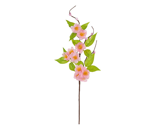 PICK FIORI DI PESCO