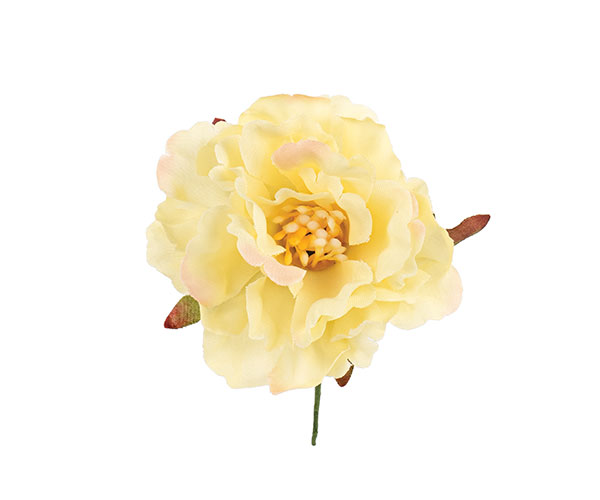 PICK PEONIA GIALLA