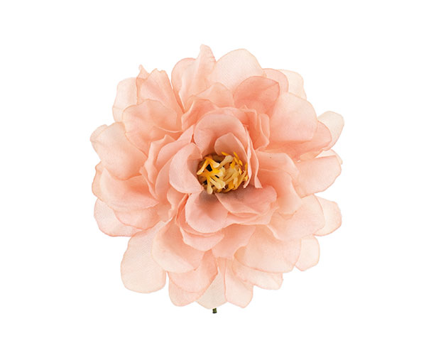 PICK PEONIA PESCA