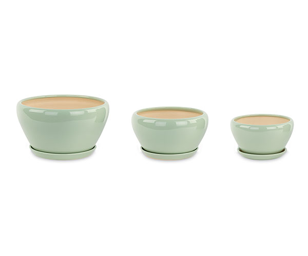SET 3 CACHEPOTS SALVIA