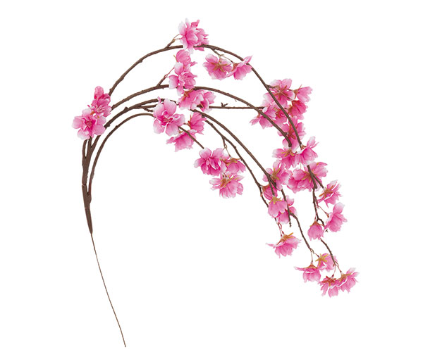 RAMO CADEN.FIORI CILIEGIO ROSA