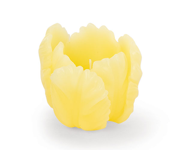 BOX 2 CANDELE TULIPANI GIALLI