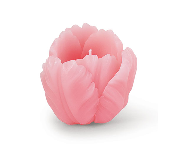 BOX 2 CANDELE TULIPANI ROSA