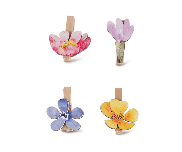 SET 8 MOLCON FIORI INBLOOM ASS.