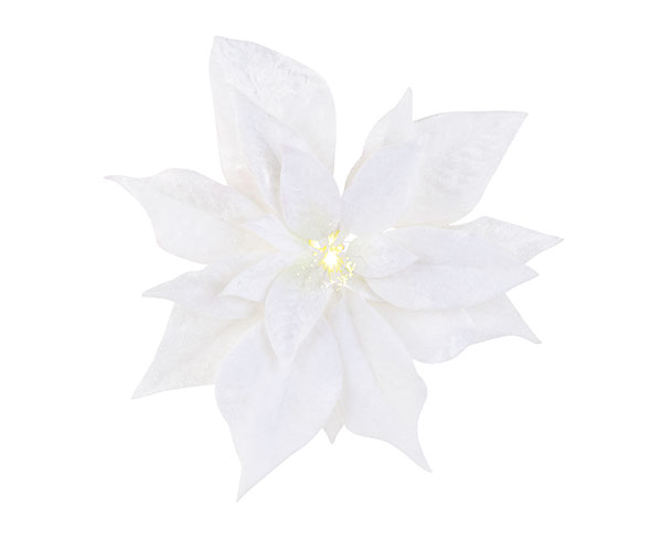 STELLA NAT.BIANCA CON LUCE E MOL D.230 MM