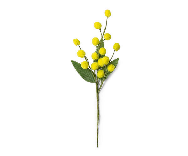MIMOSA