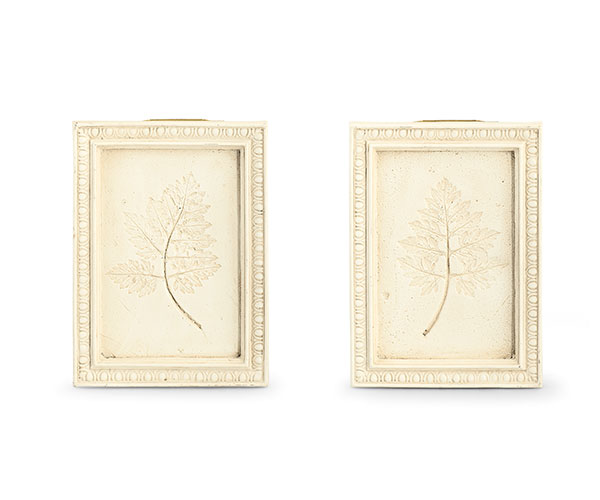 QUADRO BOTANICO AVORIO ASSORTITI