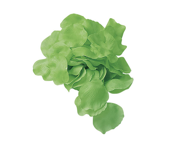 CONFEZIONE  TESSUTO VERDE