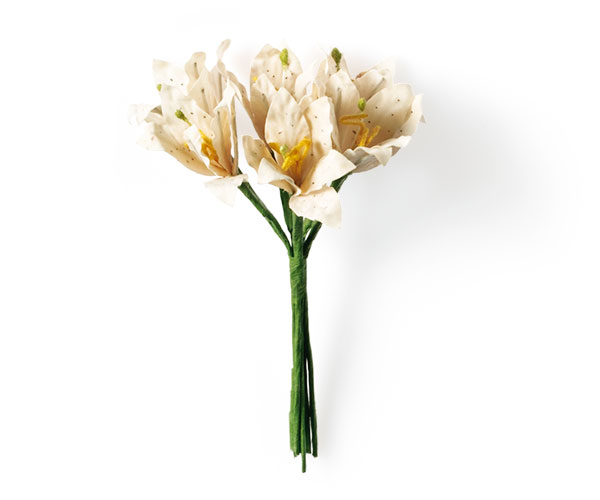 SET 6/GIGLI AVORIO H.120 MM