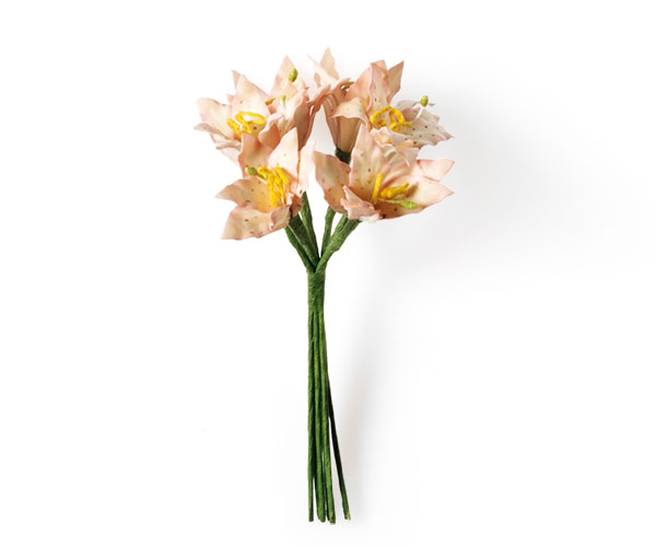 SET 6/GIGLI ROSA H.120 MM