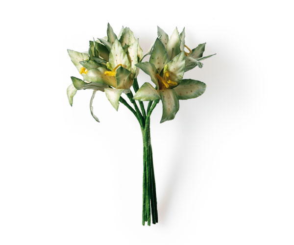 SET 6/GIGLI VERDE H.120 MM