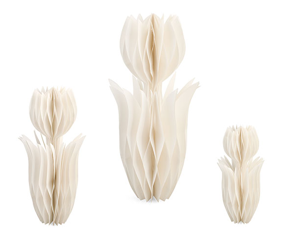 SET 3 TULIPANI BIANCHI CARTA
