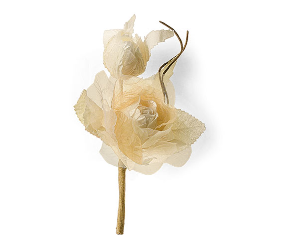 ROSA BEIGE C/BOCCIOLO H.160 MM