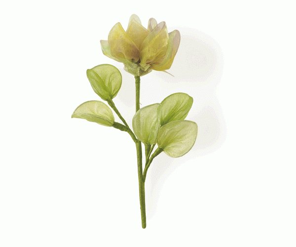 ROSA C/5 RACCHETTE VERDE 220 MM