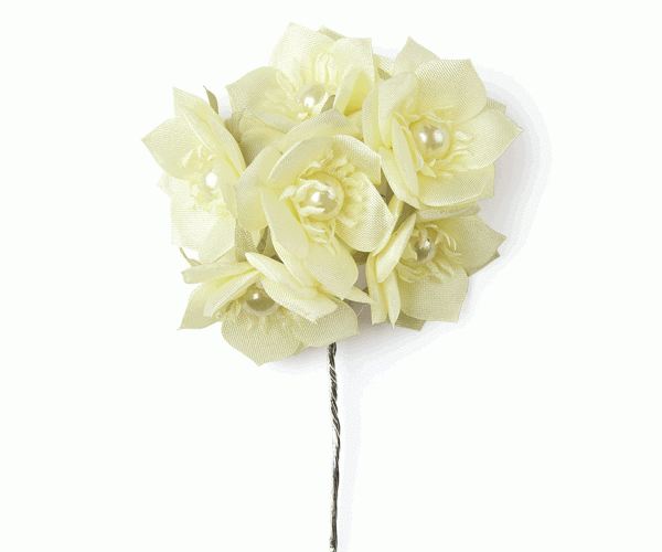 MAZZETTO C/6 ROSE AVORIO ø 25 MM