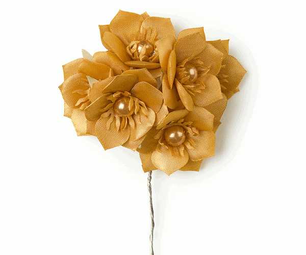 MAZZETTO C/6 ROSE OCRA ø 25 MM