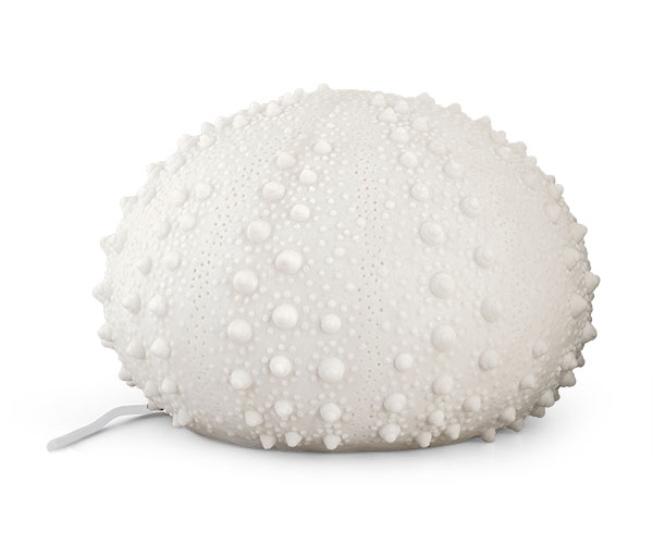 LAMPADA RICCIO CON CAVO OUTDOOR
