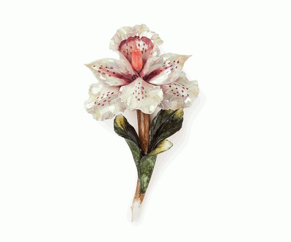 ORCHIDEA BIANCA PORCELLANA L.105 MM