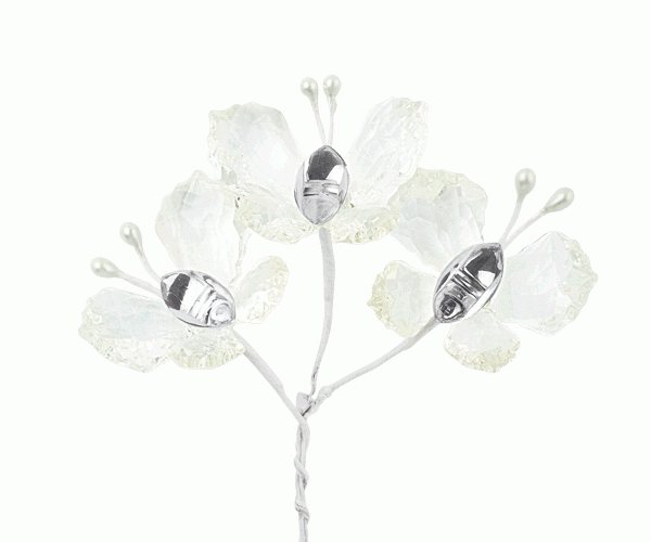 SET 72 FARFALLE TRASPARENTE 35 MM