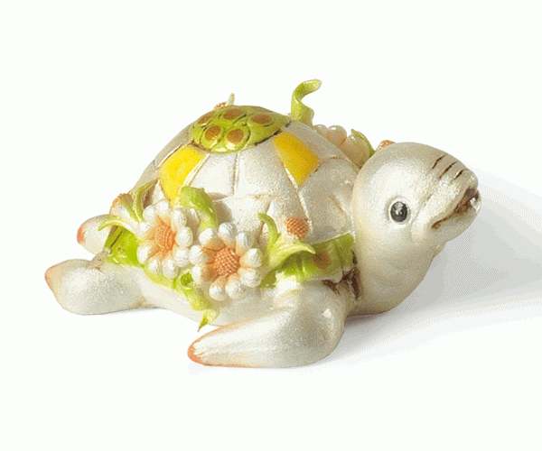 TARTARUGA SPILLA 65 MM