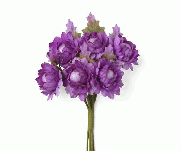 SET 6 PRATOLINE LILLA ø 28 MM