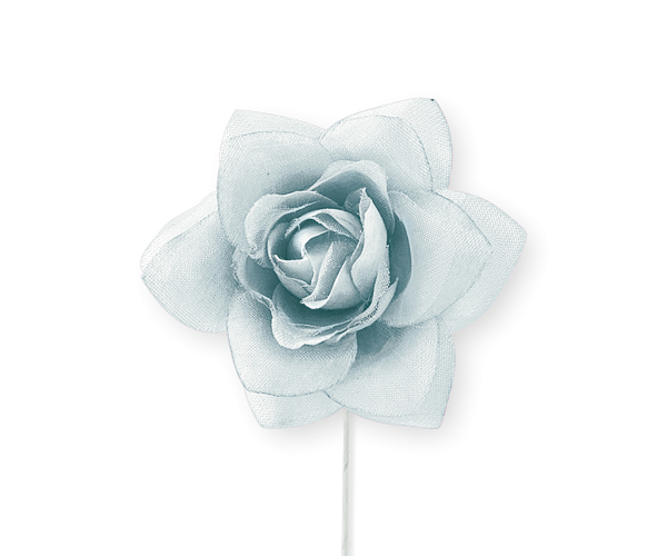 ROSA GRIGIA ø 55 MM