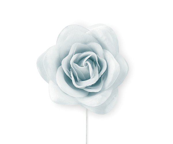 ROSA GRIGIA ø 65 MM