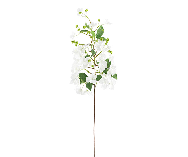 RAMETTO ORTENSIA SELVATICA 660 MM