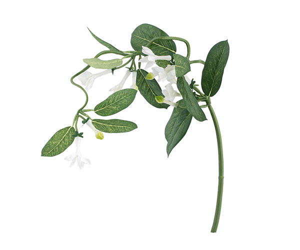 RAMO STEPHANOTIS 620 MM