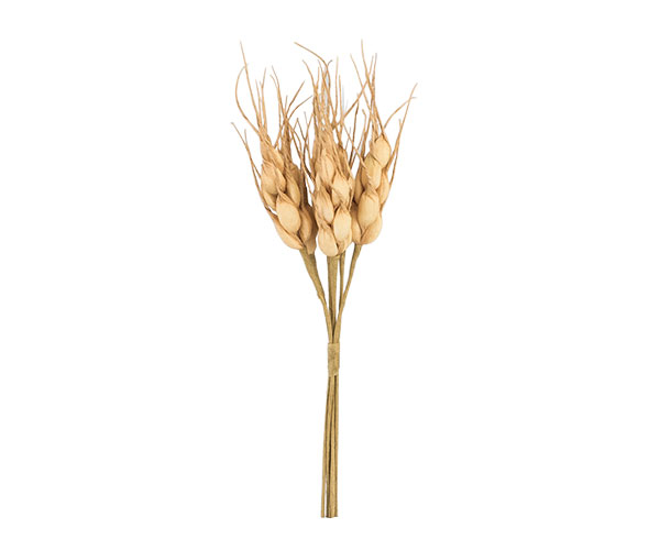 MAZZETTO 6 SPIGHE NATURALI