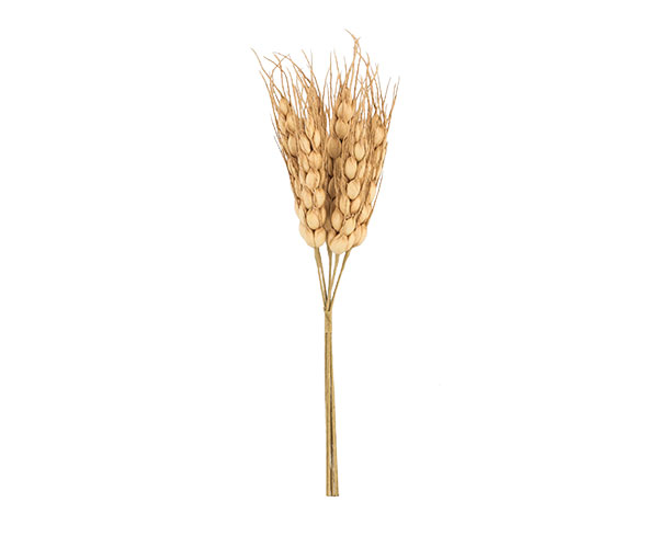 MAZZETTO 6 SPIGHE NATURALI