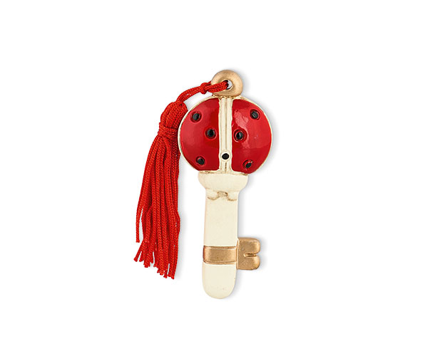 CHIAVE COCCINELLA CON NAPPA