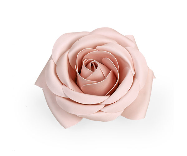 ROSA ROSA