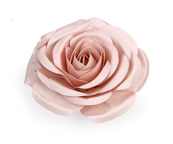 ROSA ROSA