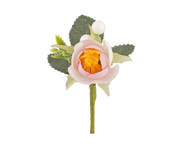 RANUNCOLO ROSA