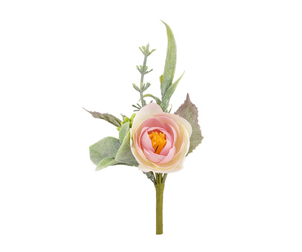 RANUNCOLO ROSA CON ERBE
