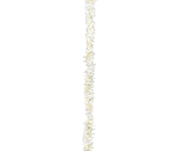 FILO ORTENSIE AVORIO C/40 LED