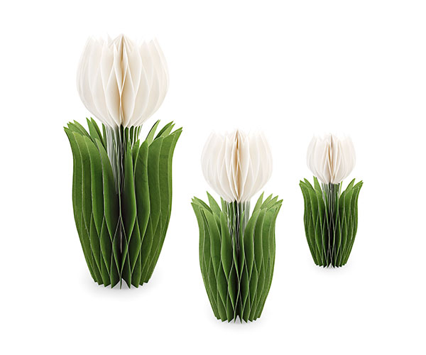 SET 3 TULIPANI BIANCHI